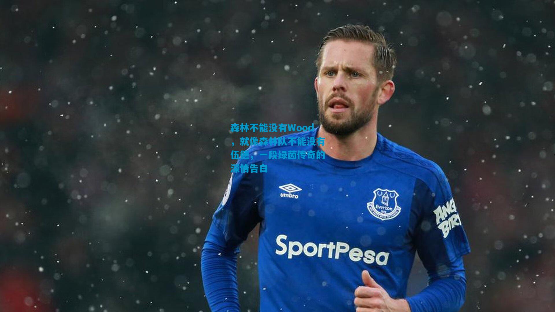 森林不能没有Wood，就像森林队不能没有伍德，一段绿茵传奇的深情告白